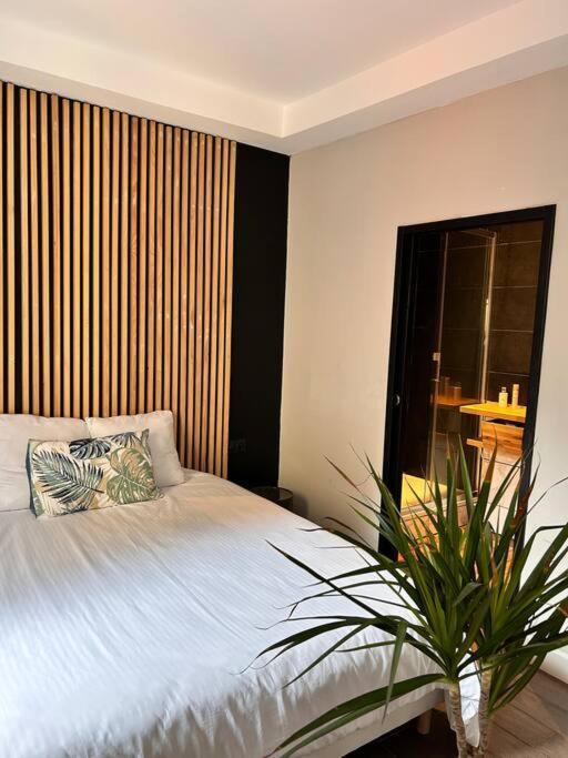 Appartement Cosy Centre Ajaccio อฌักซิโอ้ ภายนอก รูปภาพ